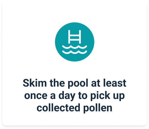 skim the pool at least once a day to pick up collected pollen